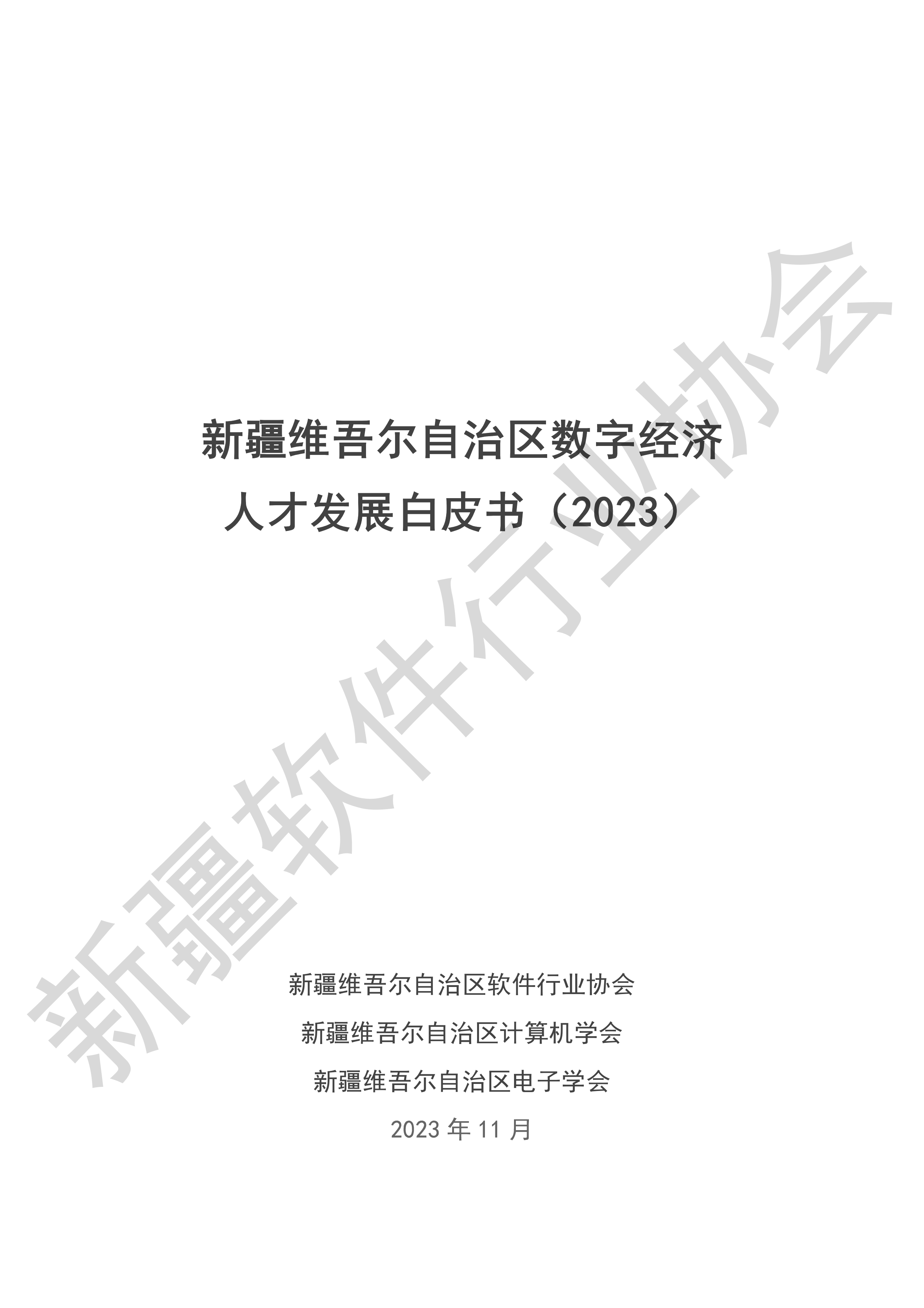 新疆软件行业协会新疆维吾尔自治区数字经济人才发展白皮书202358页